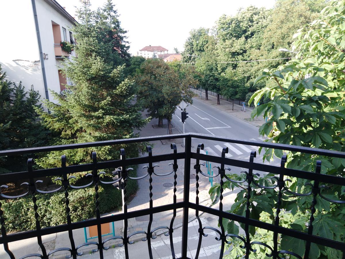 Veliki Park Villa Šabac Exteriör bild