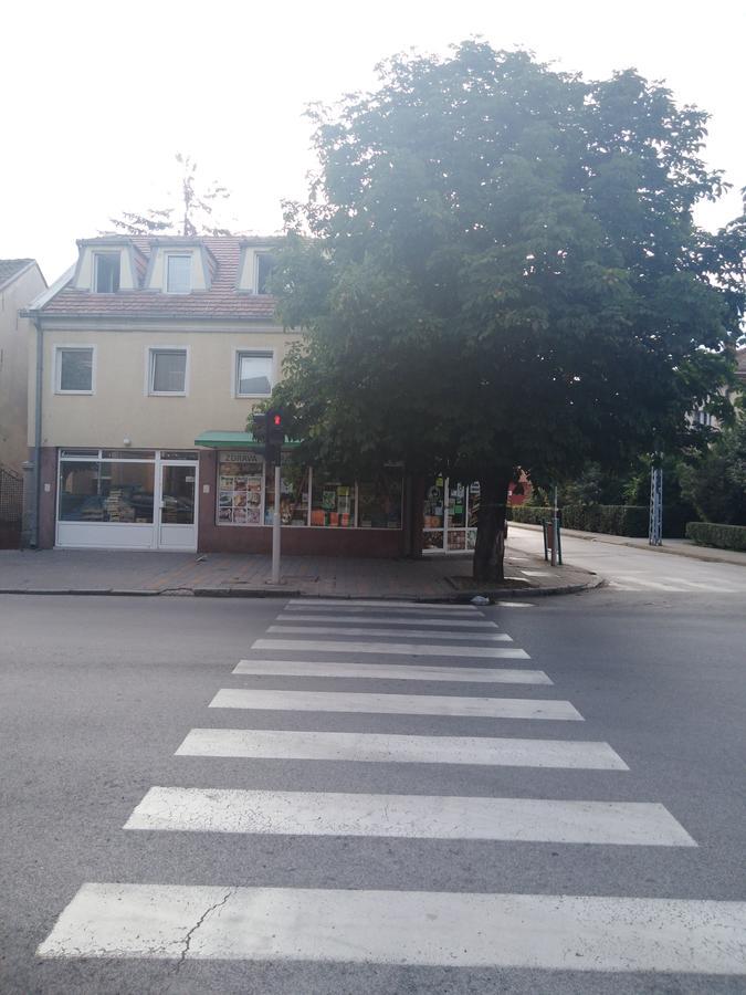 Veliki Park Villa Šabac Exteriör bild